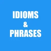 Best English Idioms &amp; Phrases